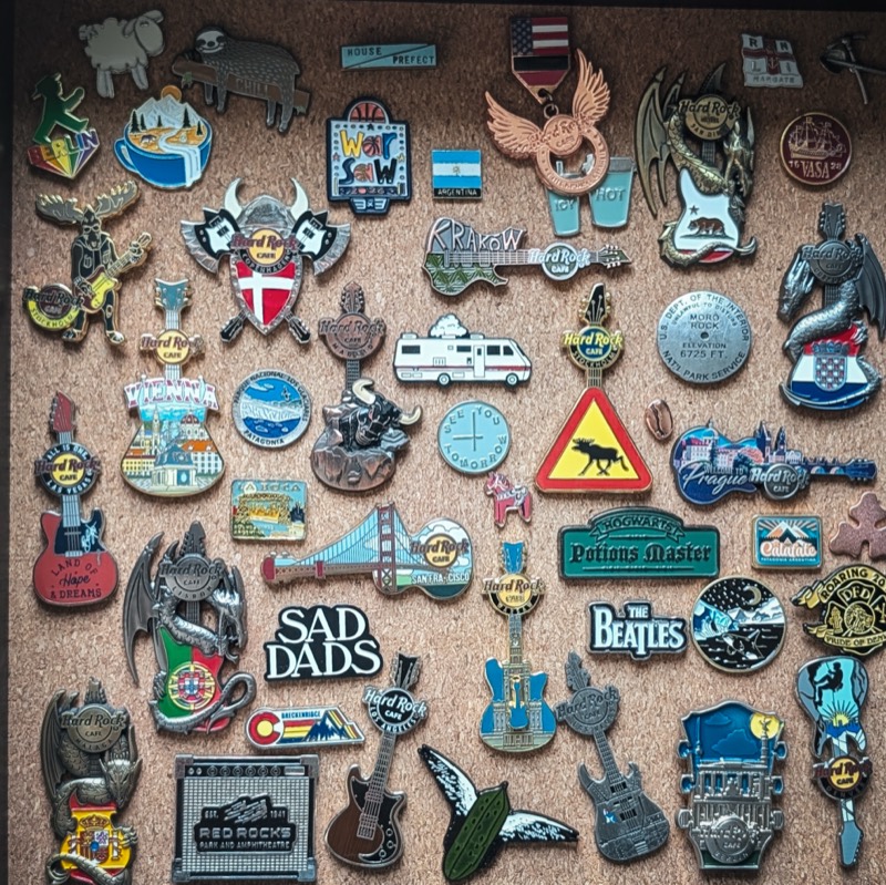 The framed collection of travel pins